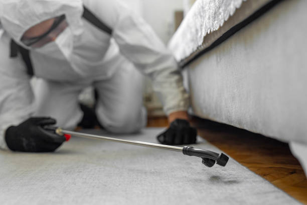 Professional Termite Control technician working in Lewis County County, TN